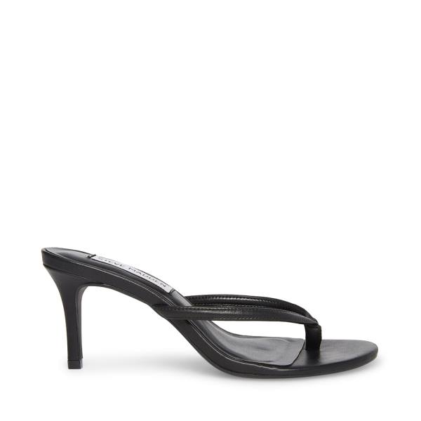 Steve Madden Addyson Leren Heel Hakken Dames Zwart | SM-605LY