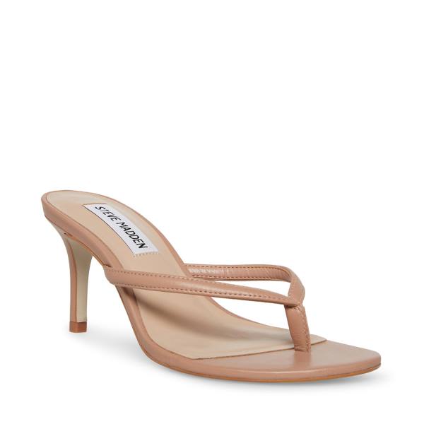 Steve Madden Addyson Tan Leren Heel Hakken Dames Bruin | SM-418ID