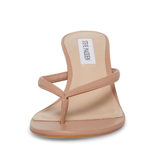 Steve Madden Addyson Tan Leren Heel Hakken Dames Bruin | SM-418ID