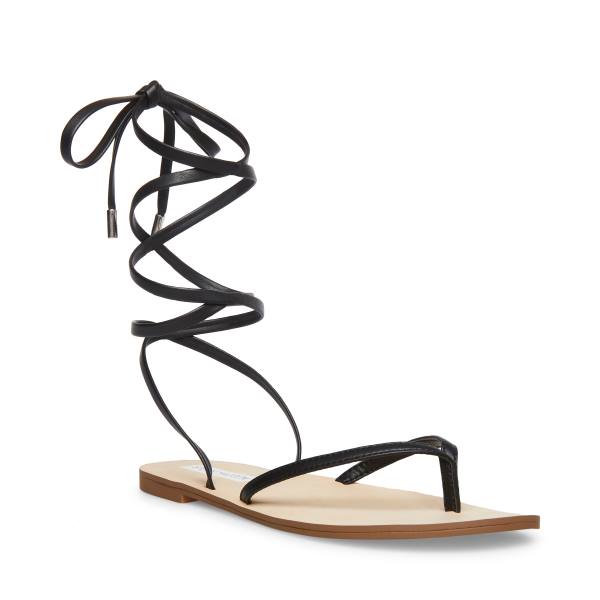 Steve Madden Anna Sandalen Dames Zwart | SM-402GK