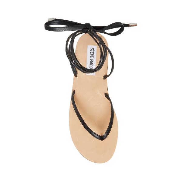 Steve Madden Anna Sandalen Dames Zwart | SM-402GK