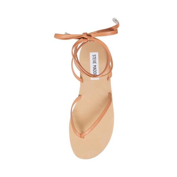 Steve Madden Anna Tan Sandalen Dames Bruin | SM-823WP