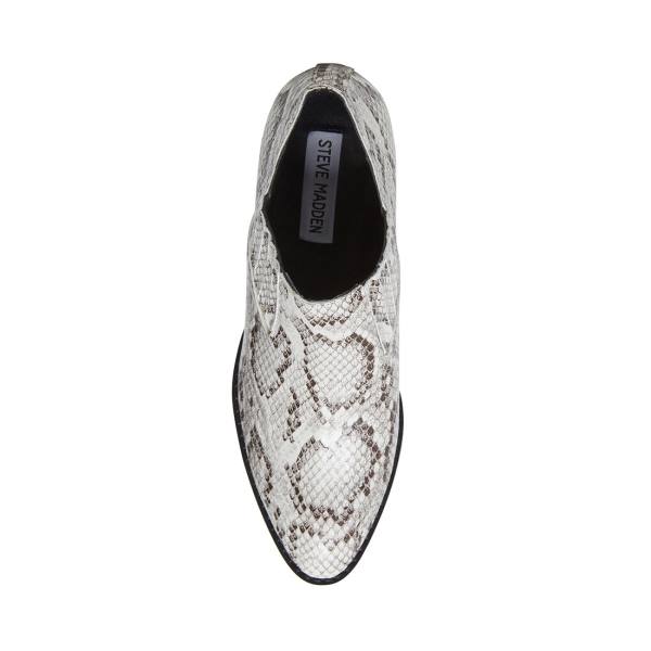 Steve Madden Barnett Snake Enkellaarsjes Dames Zwart Wit Slangenprint | SM-310MU