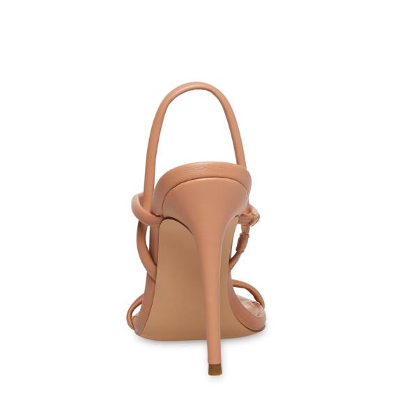 Steve Madden Carolena Tan Heel Hakken Dames Bruin | SM-213PW