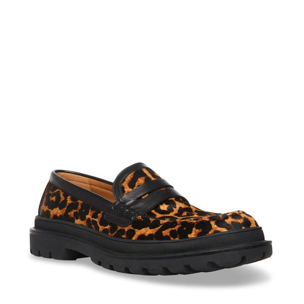 Steve Madden Charles Leopard Loafers Heren Leopard | SM-901JK