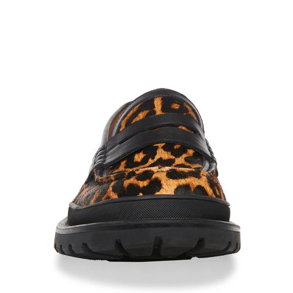 Steve Madden Charles Leopard Loafers Heren Leopard | SM-901JK