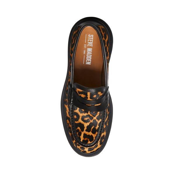 Steve Madden Charles Leopard Loafers Heren Leopard | SM-901JK