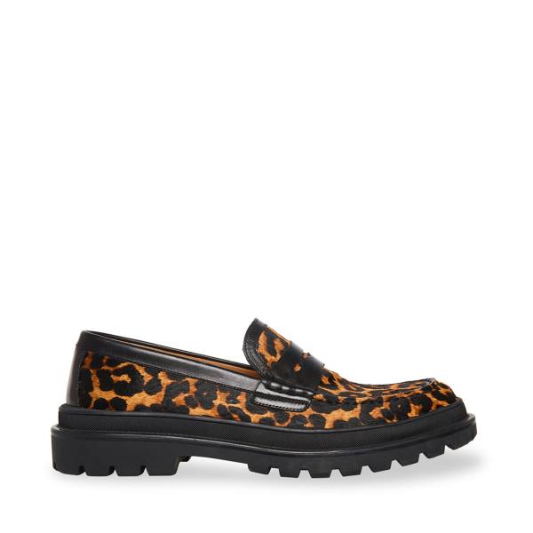 Steve Madden Charles Leopard Loafers Heren Leopard | SM-901JK