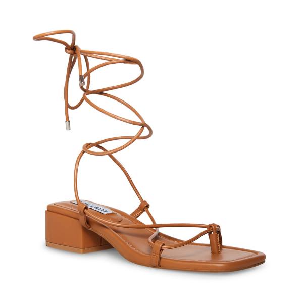 Steve Madden Claremont Tan Sandalen Dames Donkerbruin | SM-341TJ