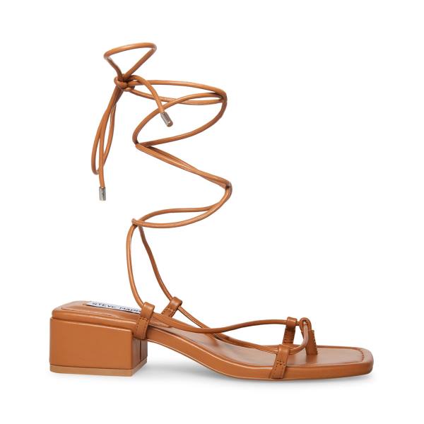 Steve Madden Claremont Tan Sandalen Dames Donkerbruin | SM-341TJ