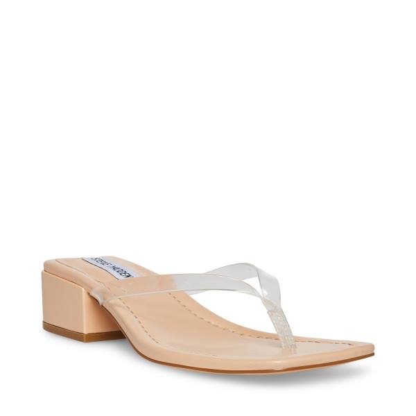 Steve Madden Claudette Sandalen Dames Clear | SM-349TS