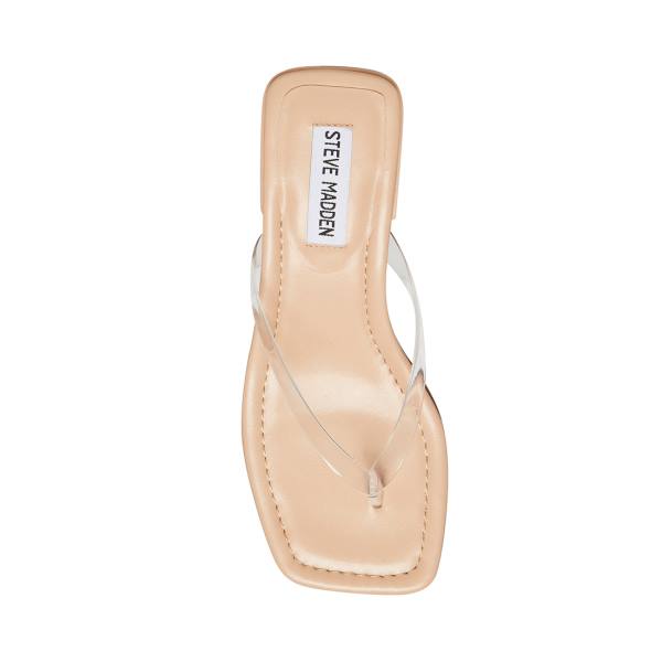 Steve Madden Claudette Sandalen Dames Clear | SM-349TS