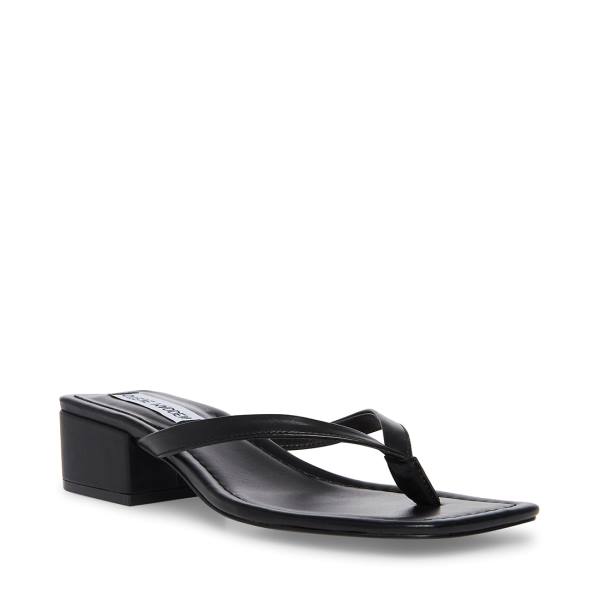 Steve Madden Claudette Sandalen Dames Zwart | SM-409HJ