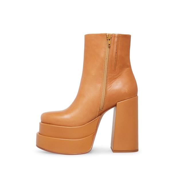 Steve Madden Cobra Tan Leren Enkellaarsjes Dames Bruin | SM-182XO