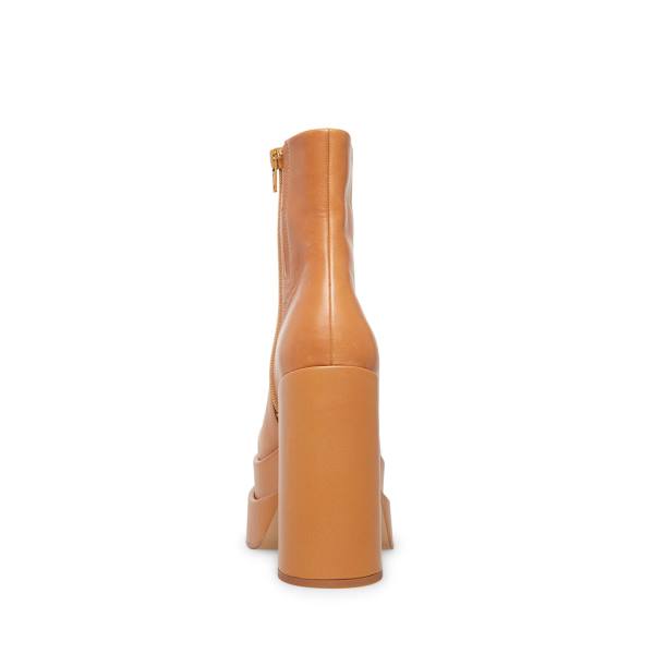 Steve Madden Cobra Tan Leren Enkellaarsjes Dames Bruin | SM-182XO