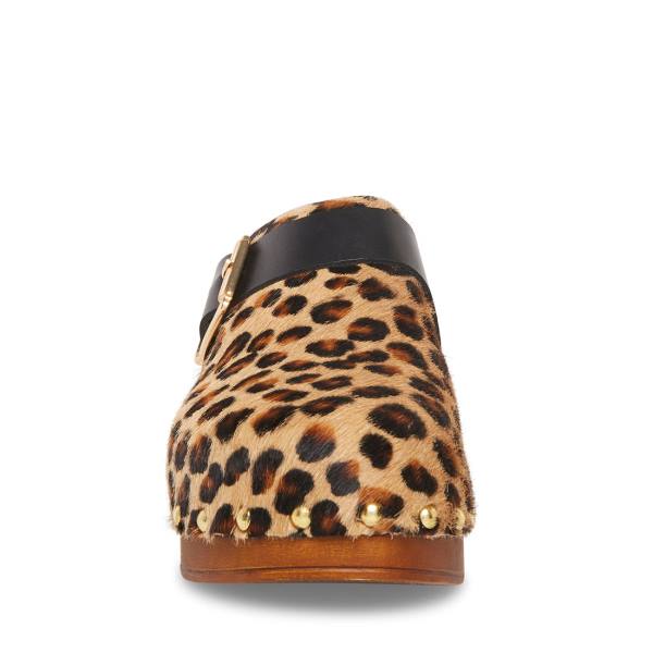 Steve Madden Dana-p Leopard Heel Hakken Dames Leopard | SM-297EZ