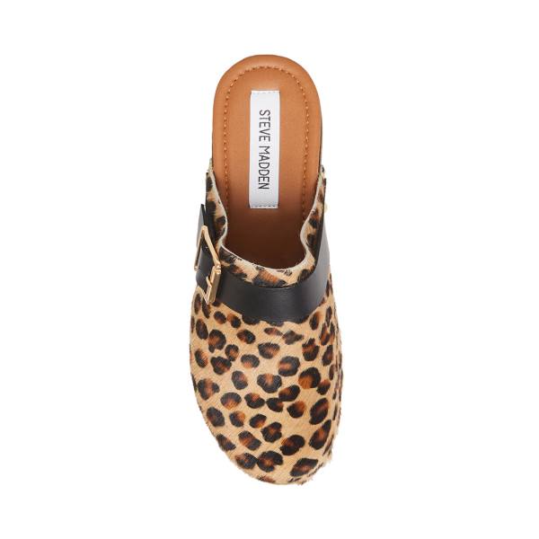 Steve Madden Dana-p Leopard Heel Hakken Dames Leopard | SM-297EZ