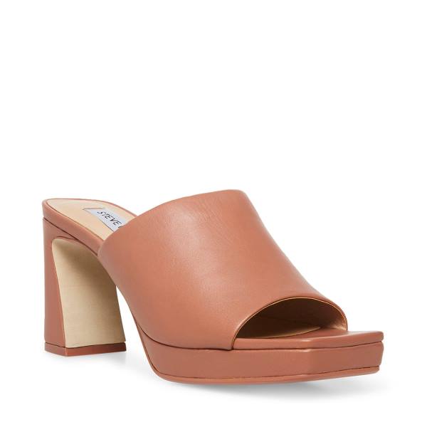 Steve Madden Dedicate Blush Leren Heel Hakken Dames Roze | SM-479TV