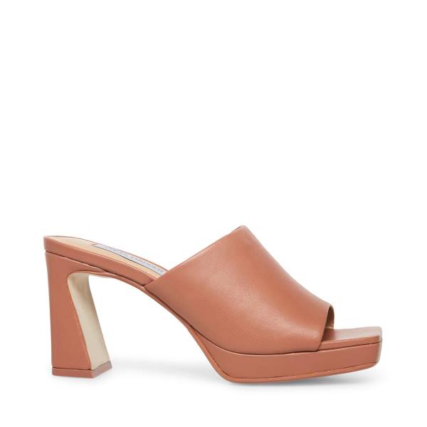 Steve Madden Dedicate Blush Leren Heel Hakken Dames Roze | SM-479TV