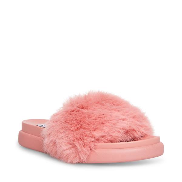 Steve Madden Delphina Slippers Dames Roze | SM-834TX