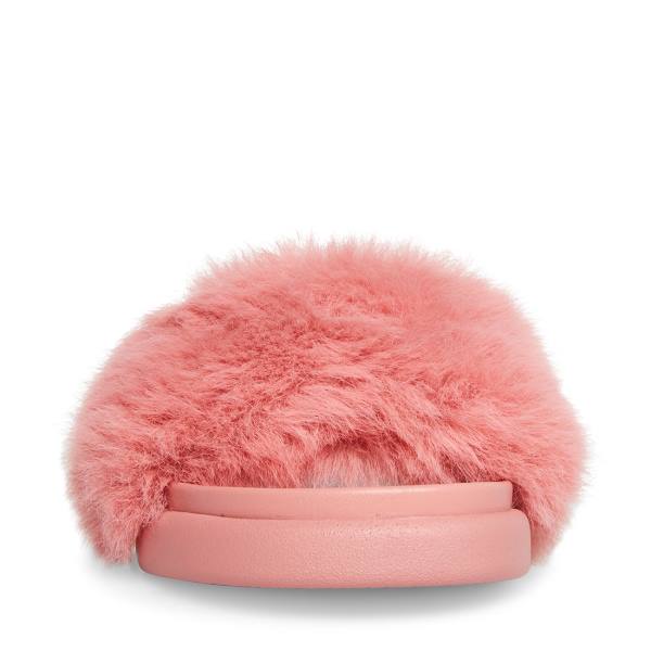 Steve Madden Delphina Slippers Dames Roze | SM-834TX