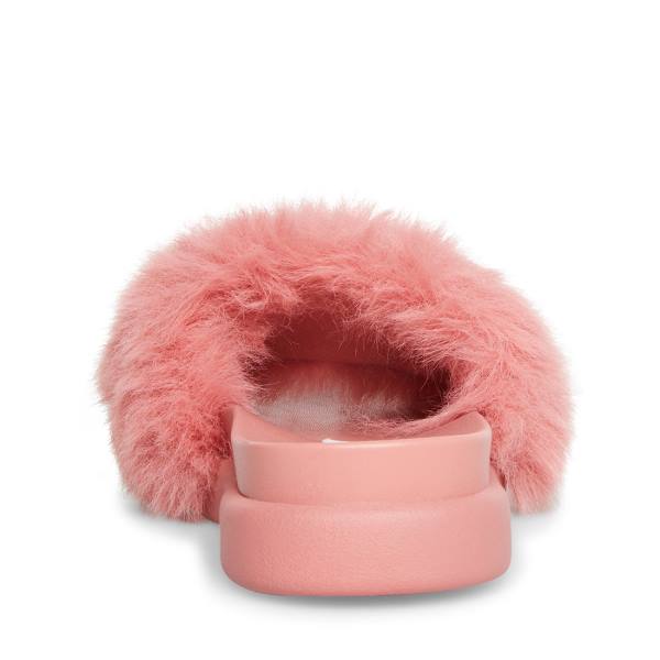 Steve Madden Delphina Slippers Dames Roze | SM-834TX