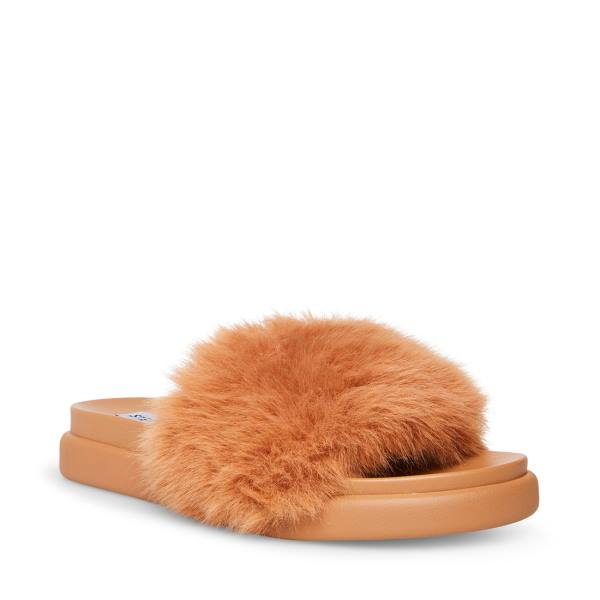 Steve Madden Delphina Tan Slippers Dames Bruin | SM-578TQ