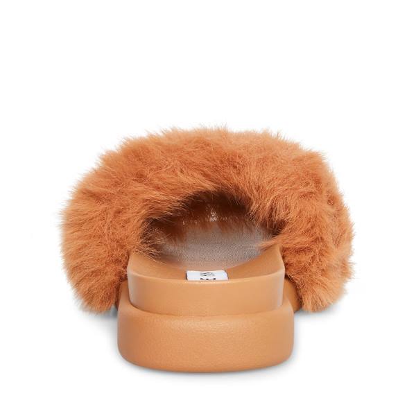 Steve Madden Delphina Tan Slippers Dames Bruin | SM-578TQ