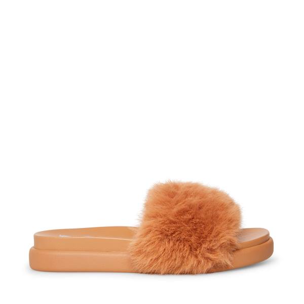 Steve Madden Delphina Tan Slippers Dames Bruin | SM-578TQ