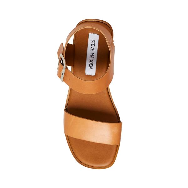 Steve Madden Destined Tan Leren Sandalen Dames Bruin | SM-415GL