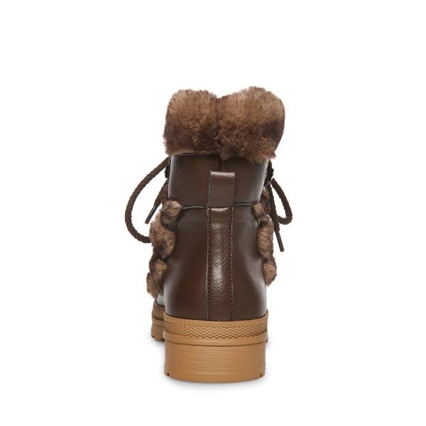 Steve Madden Dione Tan Laarzen Dames Bruin Gekleurd | SM-905AU