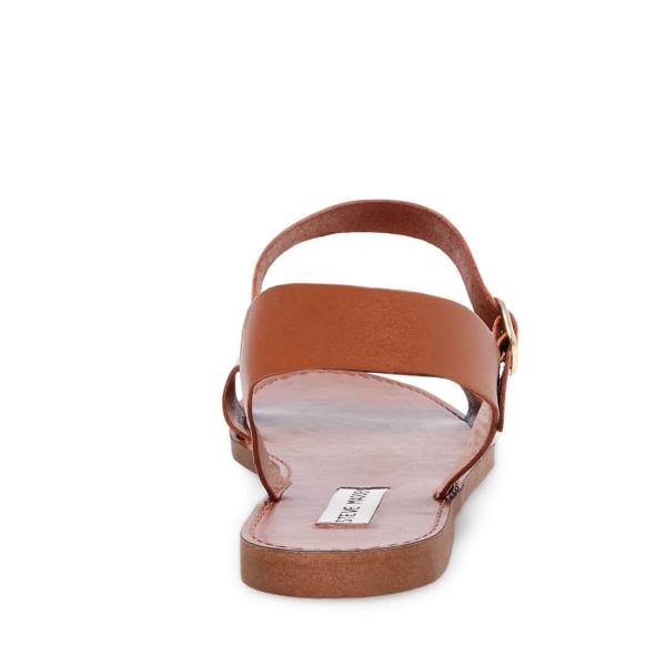 Steve Madden Donddi Tan Leren Sandalen Dames Bruin | SM-586KN