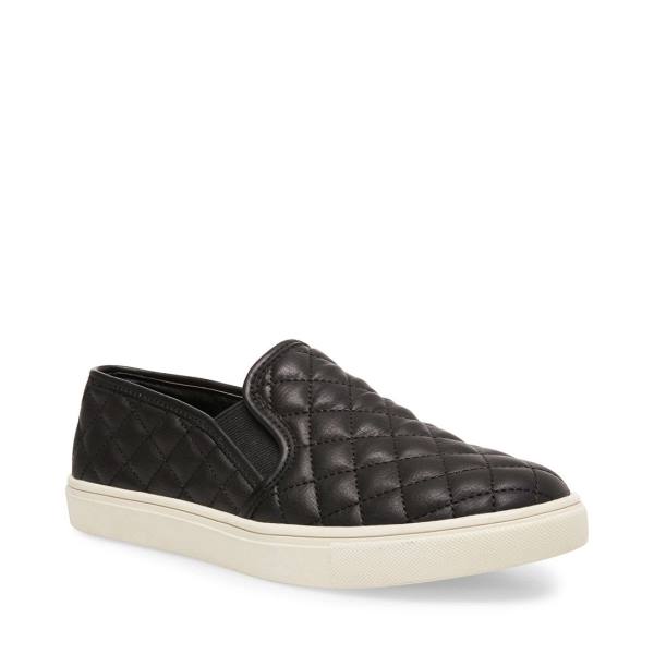 Steve Madden Ecentrcq Sneakers Dames Zwart | SM-387WF