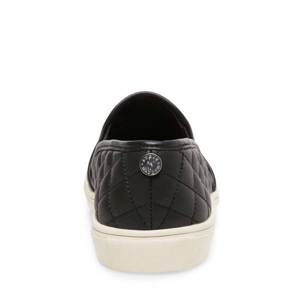 Steve Madden Ecentrcq Sneakers Dames Zwart | SM-387WF