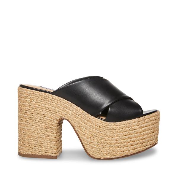 Steve Madden Elzie Heel Hakken Dames Zwart | SM-381GQ