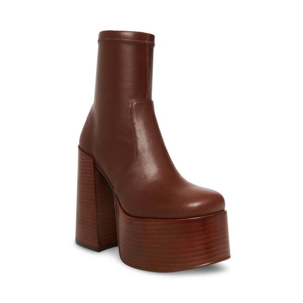 Steve Madden Eve Enkellaarsjes Dames Bruin | SM-501UX