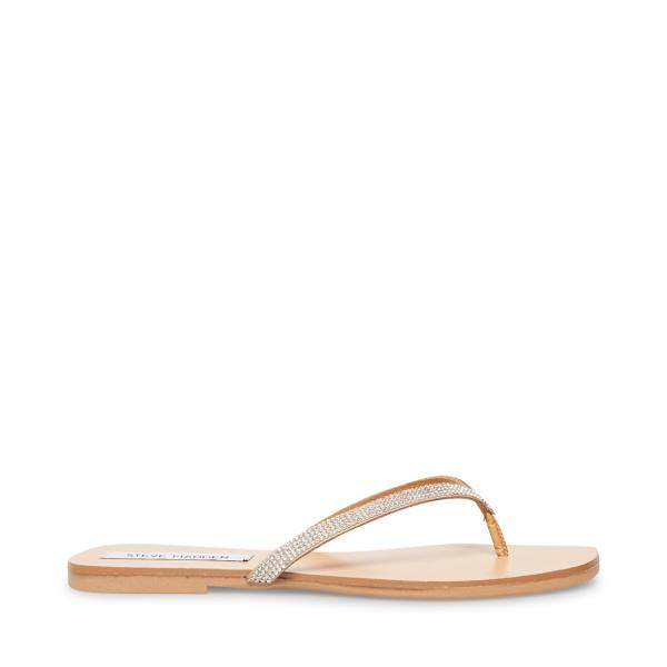 Steve Madden Fairlie-r Sandalen Dames Diamond | SM-507XD