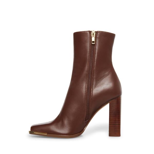 Steve Madden Falcon Leren Enkellaarsjes Dames Bruin | SM-540UY