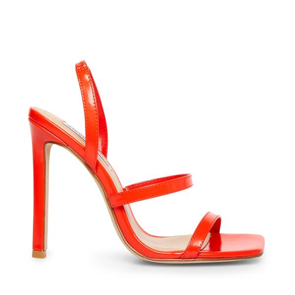 Steve Madden Grade Heel Hakken Dames Rood | SM-670VU