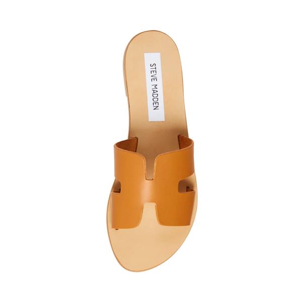 Steve Madden Greece Cognac Leren Sandalen Dames Bruin | SM-109UY