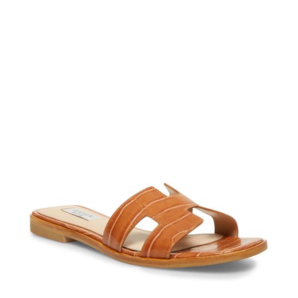 Steve Madden Hadyn Cognac Sandalen Dames Bruin Gekleurd | SM-489BM