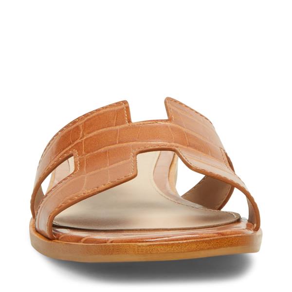 Steve Madden Hadyn Cognac Sandalen Dames Bruin Gekleurd | SM-489BM