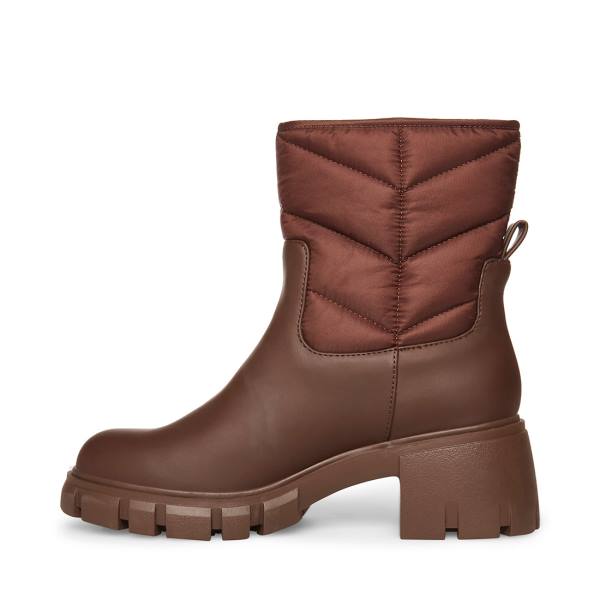 Steve Madden Haldan Enkellaarsjes Dames Bruin | SM-264FT