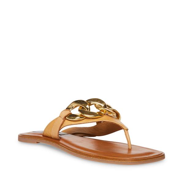 Steve Madden Hazel Tan Sandalen Dames Bruin | SM-784IY