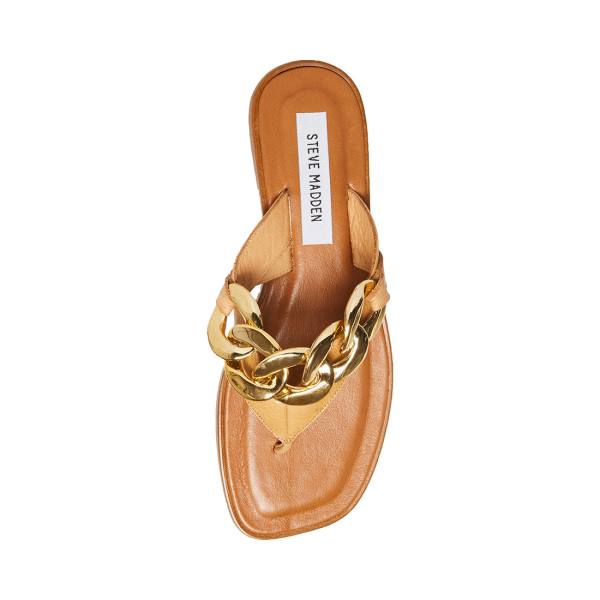 Steve Madden Hazel Tan Sandalen Dames Bruin | SM-784IY