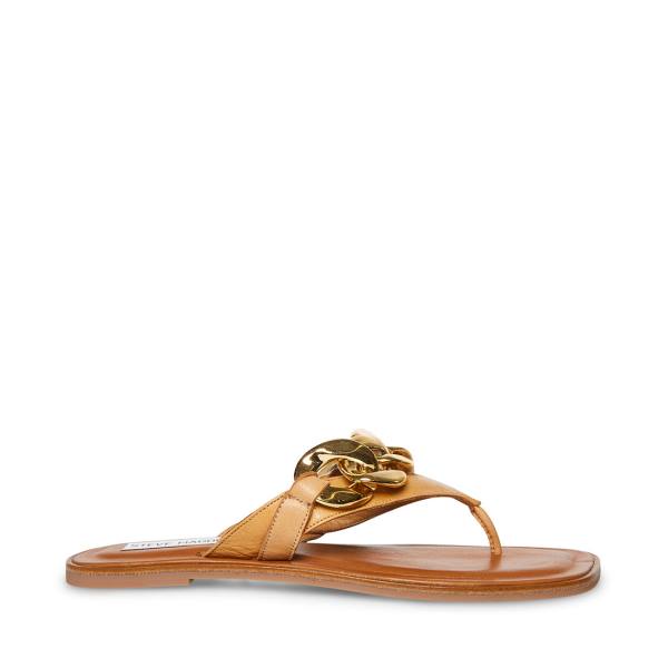 Steve Madden Hazel Tan Sandalen Dames Bruin | SM-784IY