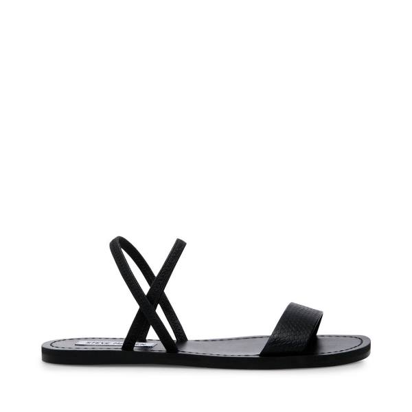 Steve Madden Instant Sandalen Dames Zwart | SM-695OI