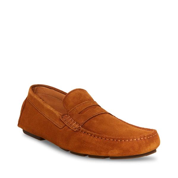 Steve Madden Italo Cognac Suede Loafers Heren Bruin | SM-064BG