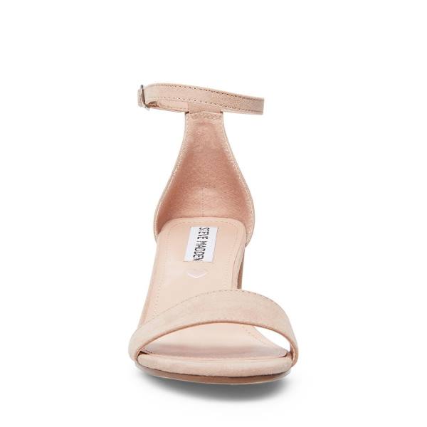 Steve Madden Jcarrson Blush Hakken Kinderen Roze | SM-382AM