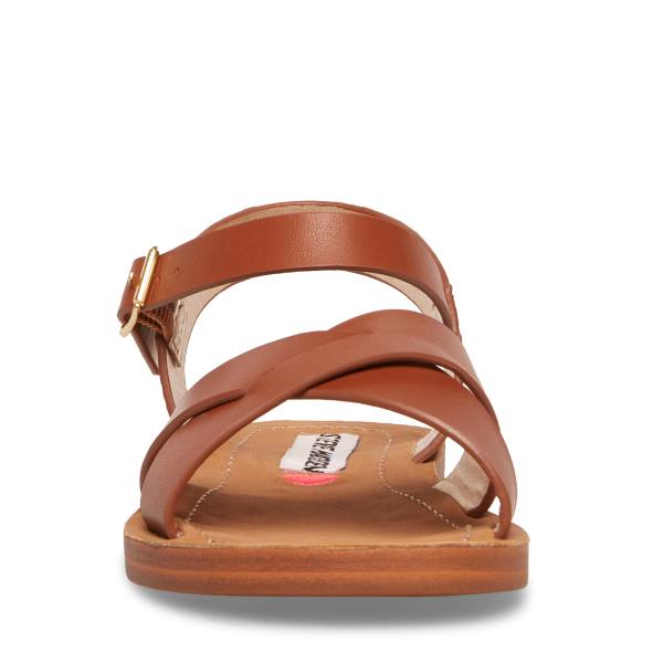 Steve Madden Jleague Cognac Sandalen Kinderen Bruin | SM-341XI